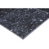 Msi Blue Pearl 12 In. X 12 In. Polished Granite Floor And Wall Tile, 5PK ZOR-NS-0049